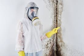 Best Commercial Mold Inspection  in Laguna Park, TX